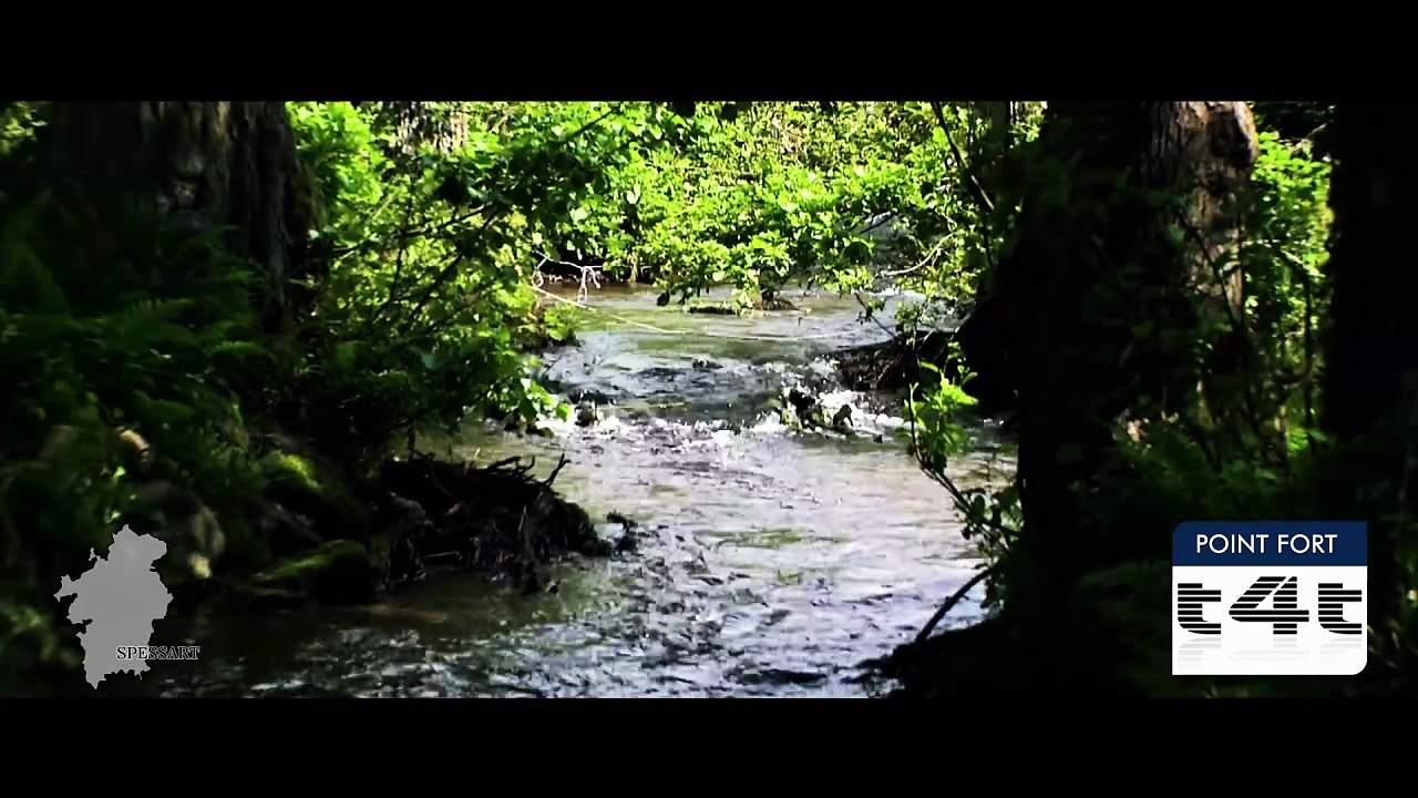tips-4-trips - Mon #Tuyau178 -- Spessart - Épisode 1 - L'Arrivée