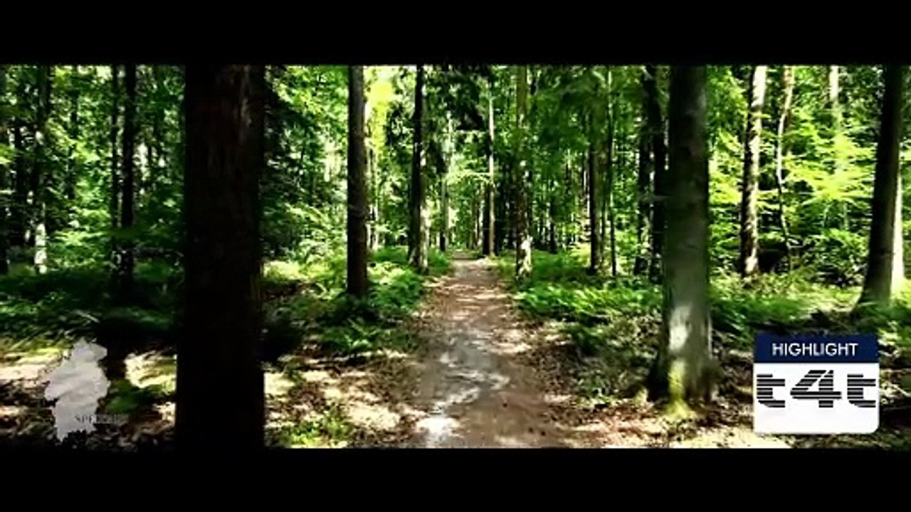 tips-4-trips - Mein #Tipp179 -- Spessart - Episode 2 - Schlüchtern