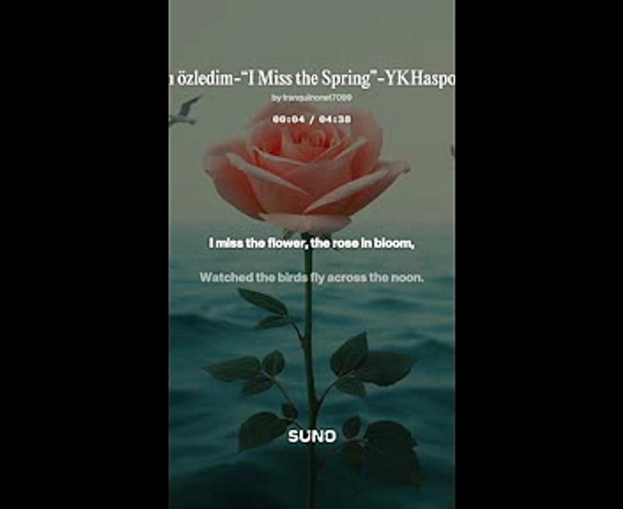 İNGİLİZCE ŞARKILAR-YUSUF KENAN HASPOLAT-4