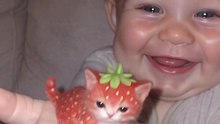 💖Chaton fraise🐾🍓#cat #baby #strawberry💖💥ABONNES-TOI STP🙏💖 MERCI 🙏💖💥