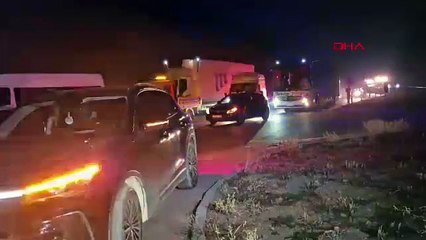 Milyonluk yarış tayları çiftlikten kaçtı; 8'i öldü, bazıları kayıp!