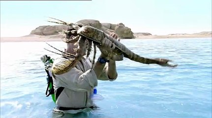 Sea Monsters S01E01 - A Walking with Dinosaurs Trilogy - Dangerous Seas -  video Dailymotion