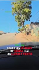 Siguen los estragos en Tijuana tras las lluvias y vientos 🚨💨
