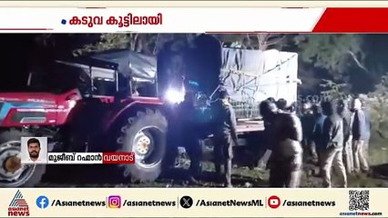 ഒടുവിൽ പിടിയിൽ; വയനാട് വണ്ടിക്കടവിൽ ഭീതി വിതച്ച നരഭോജി കടുവ കൂട്ടിലായി