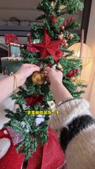 Celebrating Christmas with my dog 🎄🐶 | Merry Christmas