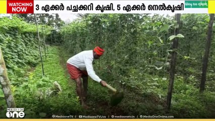 ചീര, കക്കിരി, ഞരമ്പൻ കോവക്ക,തണ്ണി മത്തൻ..; പച്ചക്കറി കൃഷിയിൽ നൂറുമേനി വിളവ് കൊയ്ത് ശിവാനന്ദ
