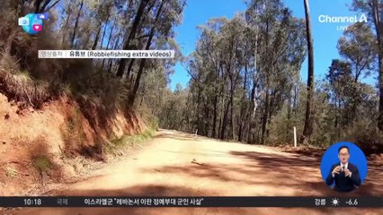 [앉아서 세계 속으로]운동화 고리에 걸린 독사…침착함이 목숨 구해