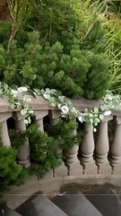 Mafia's Forbidden Catch #shortfilm