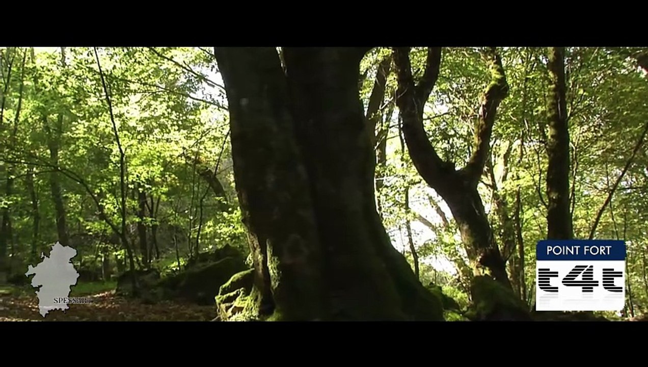 tips-4-trips - Mon #Tuyau239 -- Spessart - Episode 4 - Bad Orb