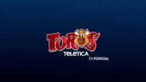 Toros en pedregal 25 diciembre 2025