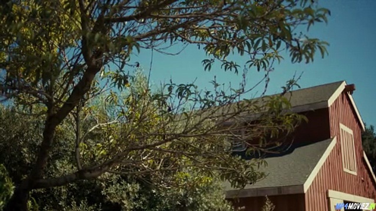 Stone-Cold-Fox Hollywood-English-Movie