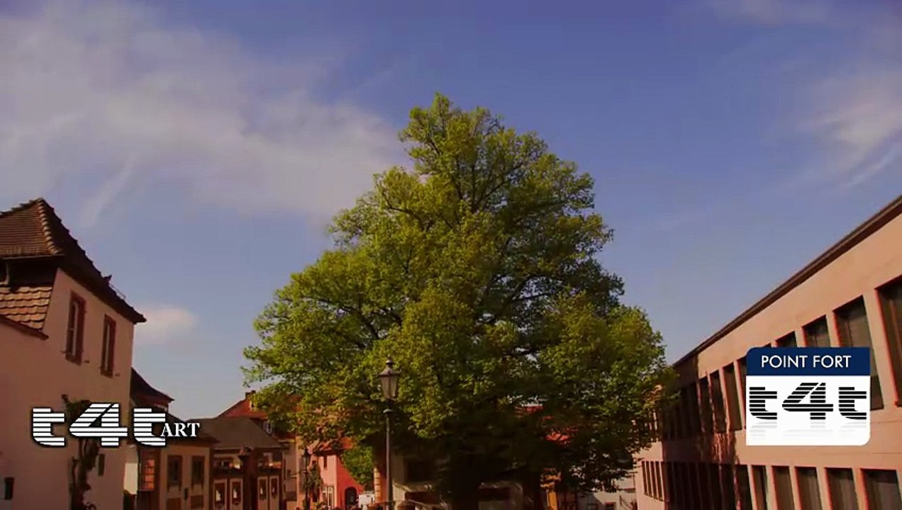 tips-4-trips - Mon #Tuyau236 -- Spessart - L'ART - Kunstlanding, Aschaffenburg