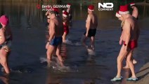 W Berlinie morsy wskoczyły do wody w Boże Narodzenie