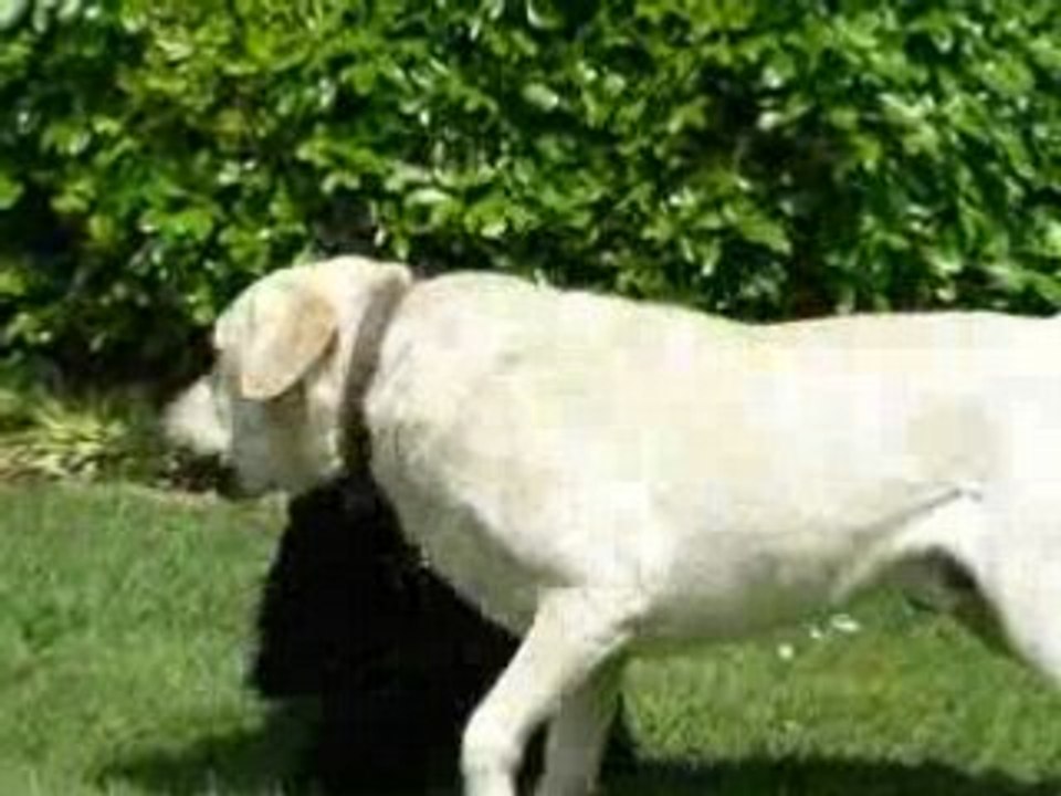 MOV00902