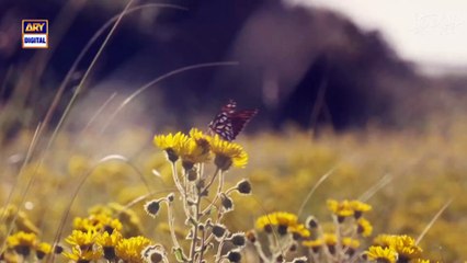 Good Morning Pakistan | Maryam Noor | Rabiya Rizwan | 26 December 2025 | ARY Digital