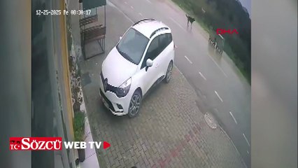 Motokurye, kendisine saldıran sokak köpeğinden kaçarken kaza yaptı