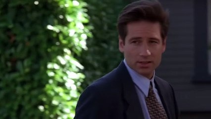 The XFiles 1993 Season 1 Episode 6 Shadows
