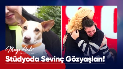 Kayıp can dostumuz Müge Anlı'da bulundu! - Müge Anlı ile Tatlı Sert 26 Aralık 2025