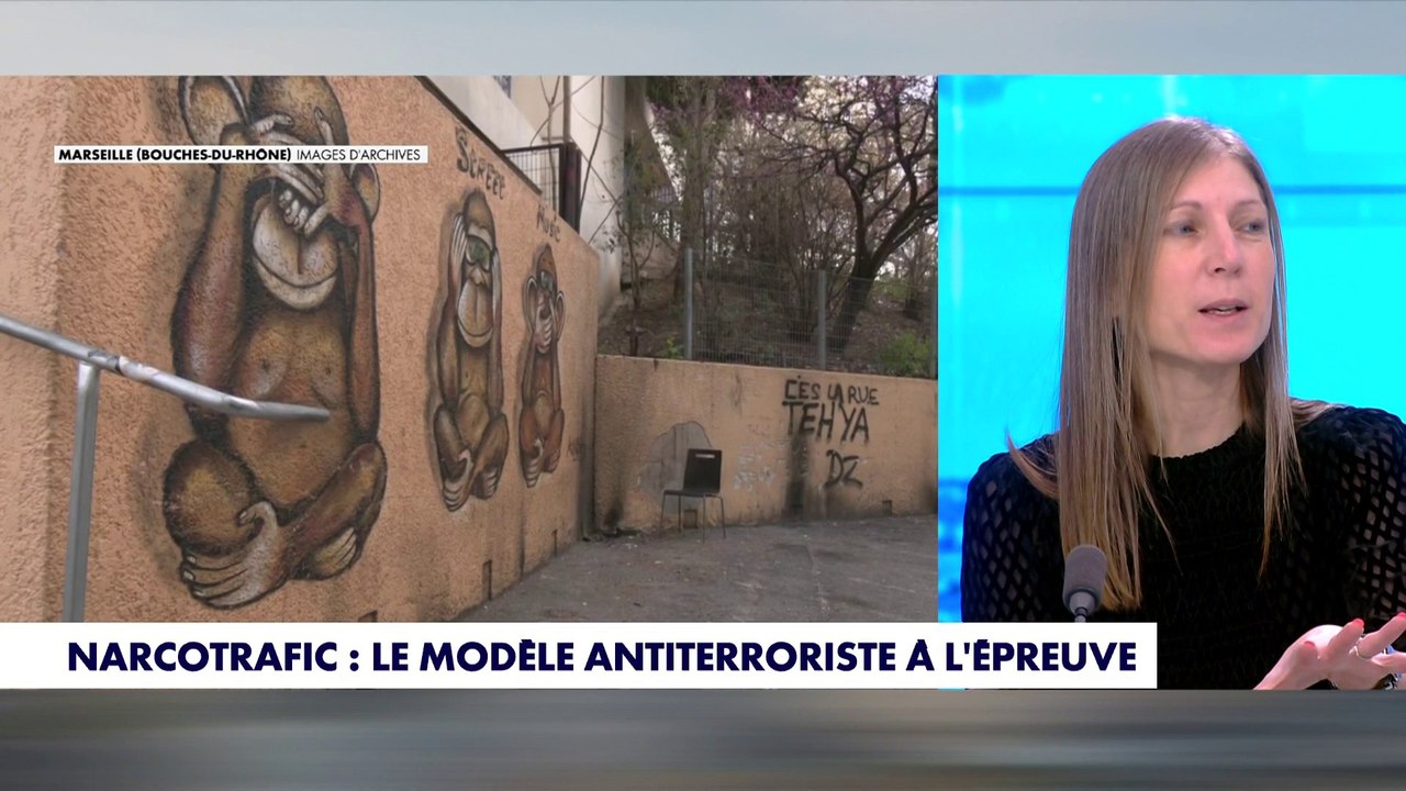 Virginie Bensoussan-Brulé : «Le Pnaco va lutter contre trois types d'agissements illicites»