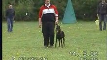 ZTP von Irinland Odelle Odana