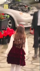 Mistaken Surrogacy Christmas Destiny Completed