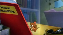 Tom And Jerry - 61 - Nit-Witty Kitty (1951)