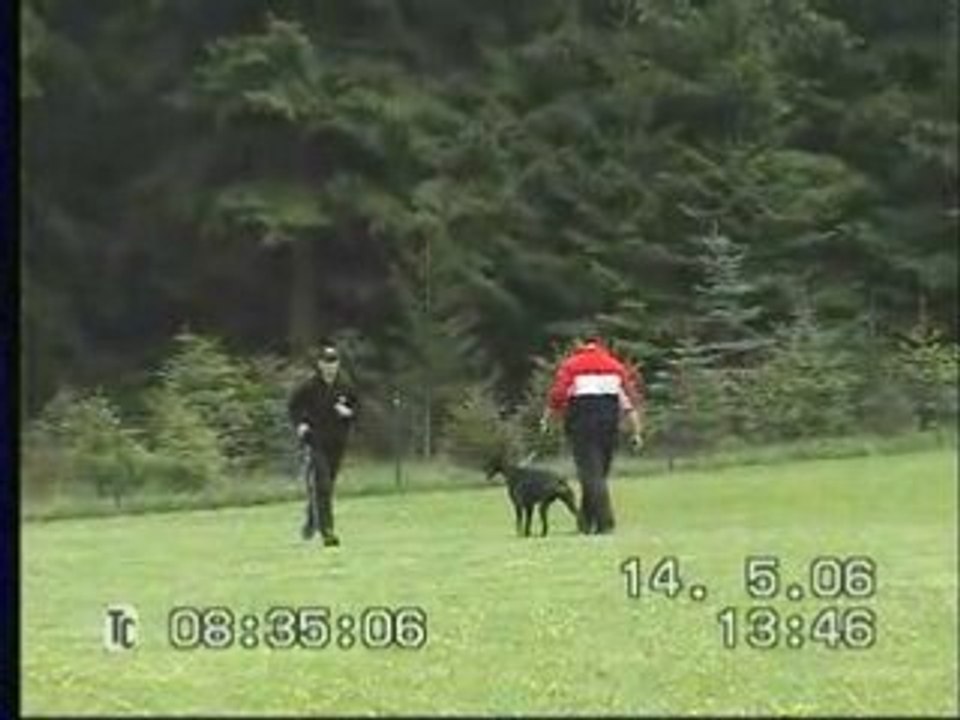 ZTP von Irinland Odelle Odana