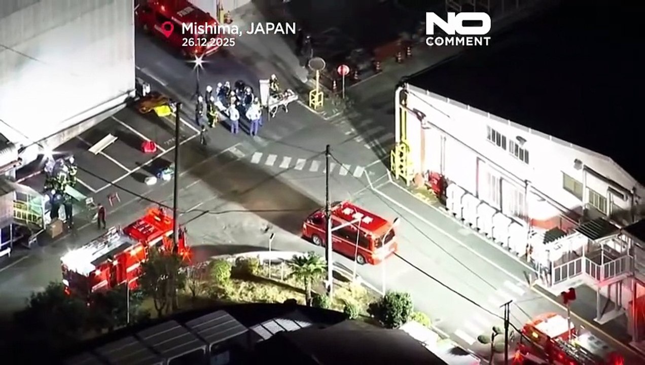 Plus de 12 blessés dans une attaque au couteau et aux produits chimiques dans une usine au Japon