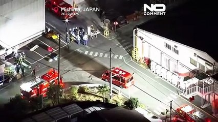 Több mint egy tucat sérült késes és vegyi támadásban egy japán gyárban