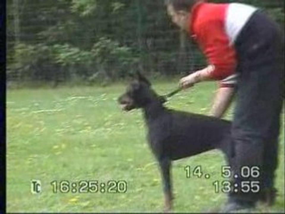 ZTP von Irinland Odelle Odana