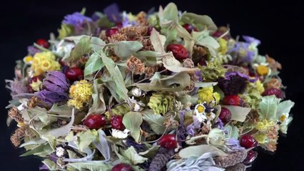 Herbolaria: las medicinas del futuro | Multiverso Milenio