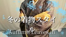 Style d’hiver en kimono | Winter Kimono Style | 冬の和装スタイル