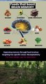 foods that boost brain memory