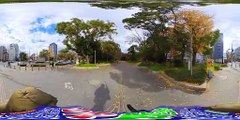 【VR散歩68】靭本町1交差点から靭公園(東園)のバラ園まで歩く＜Insta360 X5＞