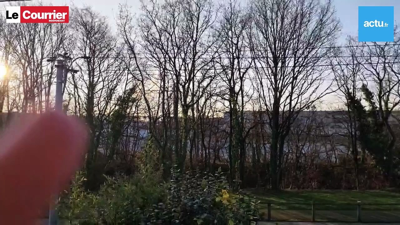 Usine Gelagri en Bretagne : le bruit et l'odeur