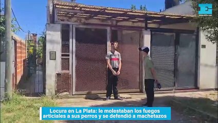 Locura en La Plata: le molestaban los fuegos articiales a sus perros y se defendió a machetazos