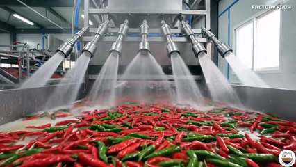 Peppers Hot Chili Sauce Factory