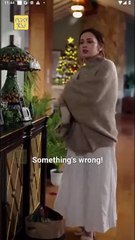 Mistaken Surrogacy, Christmas Destiny