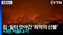 집·일터 앗아간 최악의 산불...이재민들 '시린 겨울나기' / YTN