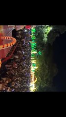 Mas de 400 mil personas visitaron Villa Navidad este 25 de diciembre