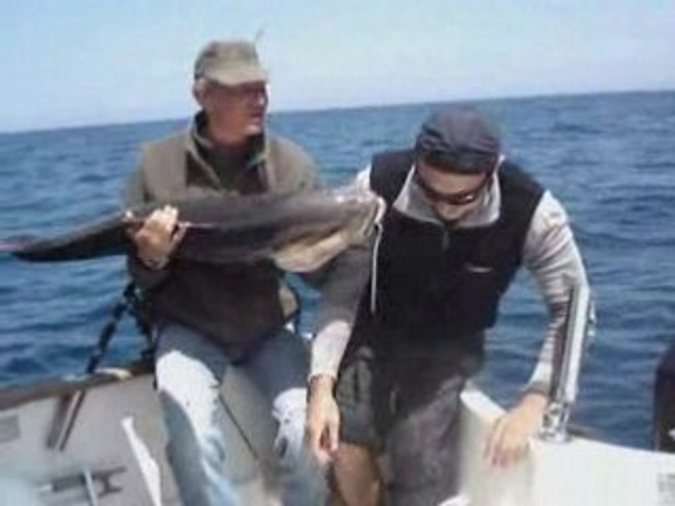 jigging : Seriole et Denti