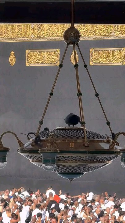 Makkah Madina ♥️🕋💞😍💓✅🥰
