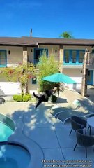 The most compatible couple#couplelove #couple #foryou #love #couplegoal