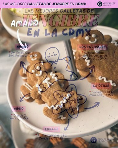 GALLETAS DE JENGIBRE EN CDMX