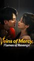 Veins of Mercy, Flames of Revenge - Full English Sub