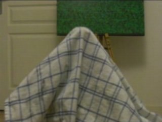 Mes 3 Animations de cette Année 🎬