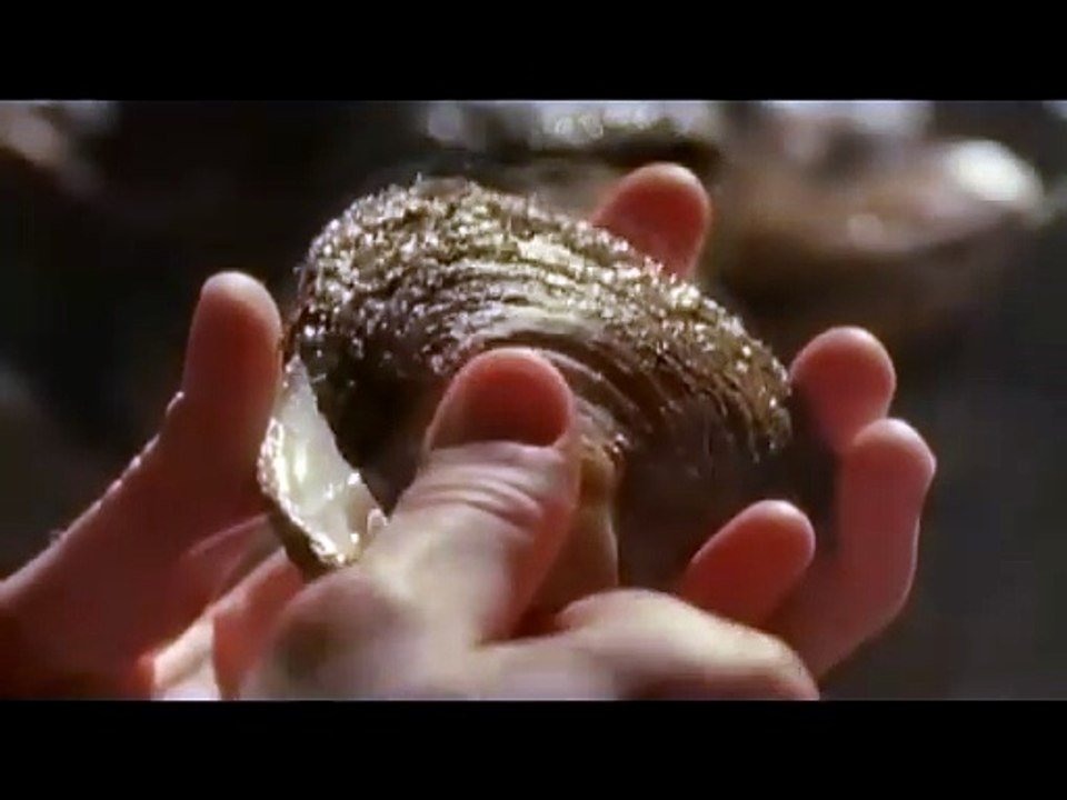 Tipping the Velvet | movie | 2002 | Official Trailer