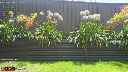 Just Chatting #204: "Kid Neighbors find out T10Nat's a Streamer... 😆"