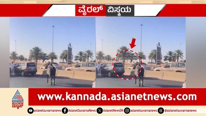 ಹೆದ್ದಾರಿಯಲ್ಲಿ ಗೂಳಿ ಕಿರಿಕ್!  ವಾಹನ ಸವಾರರಿಗೆ ಗೂಳಿ ಕಾಟ, ಚಾಲಕನಿಗೆ ಗುಮ್ಮಿದ ಗೂಳಿ!