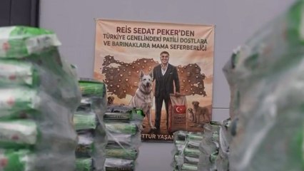 Dört yıl sonra sesi duyuldu: Sedat Peker, barınaklara mama yardımı gönderdiği videoda konuştu